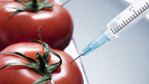 Япония собирается разрешить продавать ГМО продукты