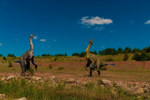 Уникальные конечности млекопитающих начали развиваться еще до динозавров