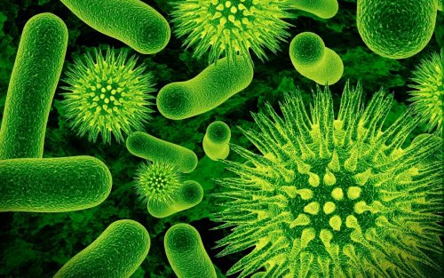 Бактерии могут «пролетать» тысячи километров: Они сами распространяются по миру – Учёные США