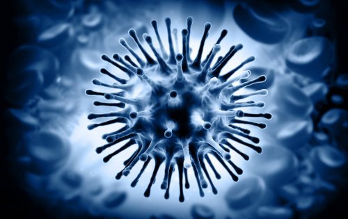 Медузавирус перевернул представление об  эволюции организмов