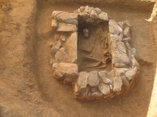 Находки  меха в могилах железного века свидетельствуют об уважении к животным