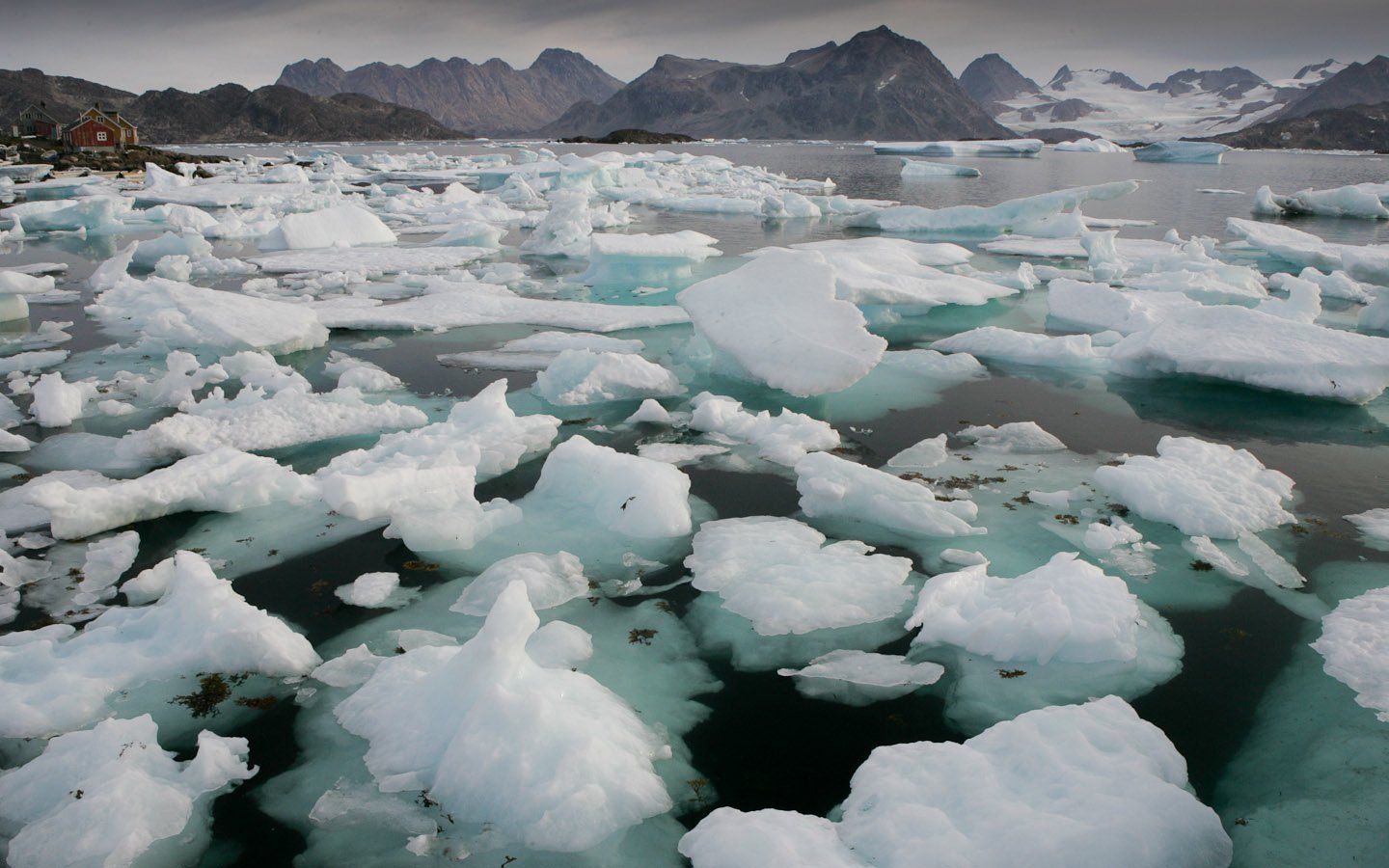 Экологические проблемы северного ледовитого океана. Вечная мерзлота Таймыр. Таяние ледников в Арктике. Оттаивание вечной мерзлоты. Таяние льдов в Арктике.