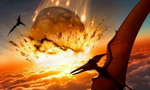 Древний астероид убил множество динозавров: Палеонтологи обнаружили в Мексике их «братскую могилу»