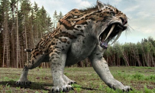 Последний из гигантов: что убило мегафауну Мадагаскара тысячу лет назад
