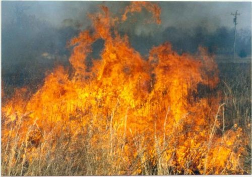 В связи с пожароопасным весенним сезоном, в Брасовском районе информируют о мерах безопасности