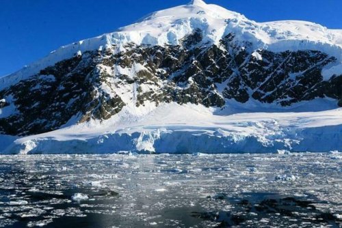 Климатологи: В Антарктиду возвратятся древние леса
