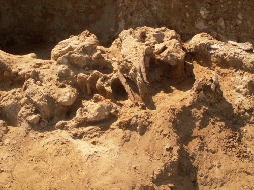 В Камбодже найдены древние гробницы