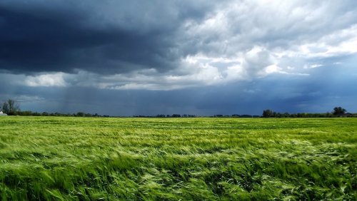 В Псковской области оповестили о штормовой угрозе