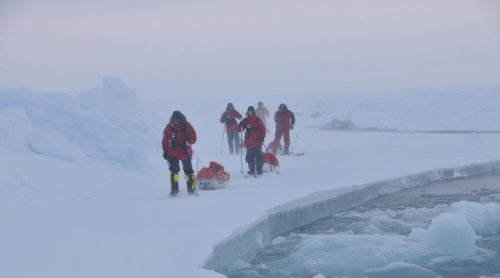 Возникновение полыньи: исследование раскрывает 43-летнюю тайну  Антарктиды