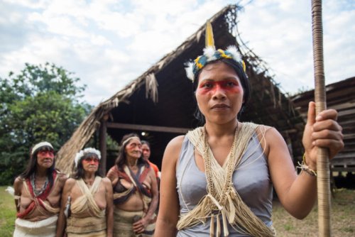 Эквадорское племя амазонок одержало первую победу над нефтяными компаниями