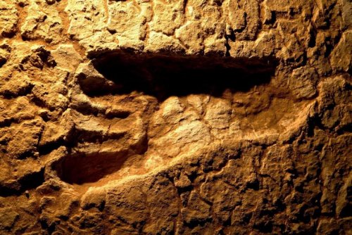  Найден самый древний след ноги