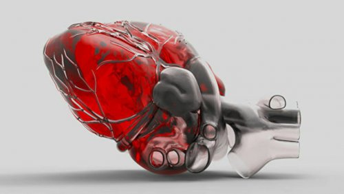 Учёные МФТИ: Клетки сердца для преодоления повреждений могут самоорганизовываться