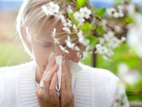 Весна принесла сезонную аллергию: симптомы, причины и лечение