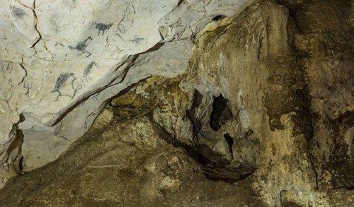 ﻿Кости животных из пещеры Хойо Негро  пролили свет на Великий Американский биотический обмен