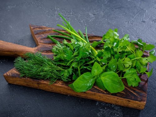 «Можно растить на подоконнике»: Медики назвали ТОП-5 самых полезных видов зелени