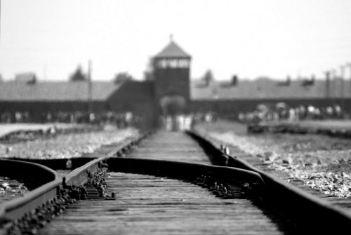 «Цинизм зашкаливает»: В США в продаже появилась одежда с принтами лагеря смерти Освенцим