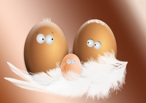 Ученые: Яйца спасают от болезней глаз