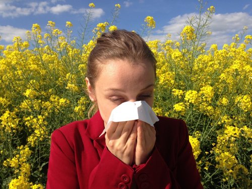 Стала известна «самая» распространенная аллергия у россиян