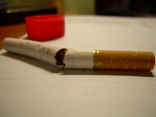 Учёные: Сигареты без фильтра вызывают повышенный риск развития рака лёгких