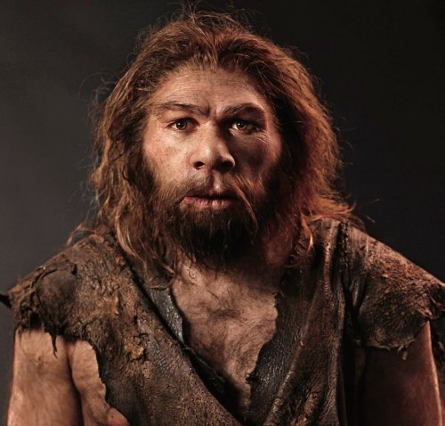 Ученым удалось выяснить, почему исчезли неандертальцы