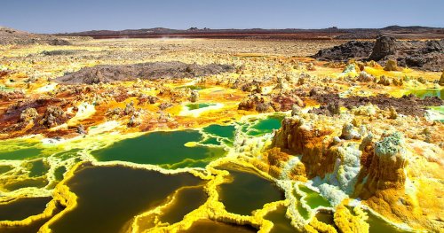 Ученым удалось обнаружить жизнь в самом жарком регионе Земли