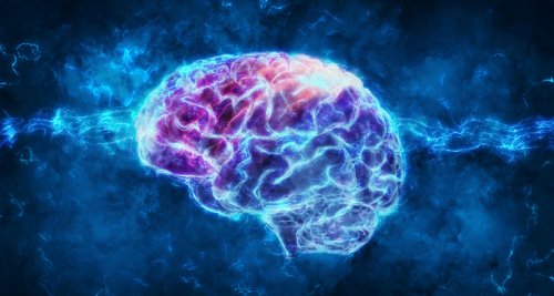 Ученые искусственно вырастили мозг человека