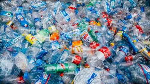 Учёные рассказали, сколько пластика люди съедают ежегодно