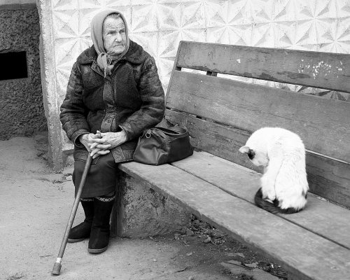 В России планируют в два раза снизить уровень бедности