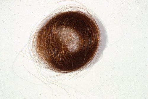 Прядь волос Бетховена выставлена на аукционе в Лондоне