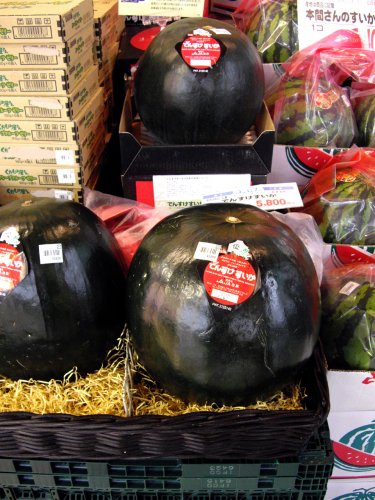 Владелец японских супермаркетов купил самый дорогой арбуз мире