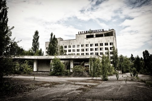 Эксперты назвали несколько фактов о животных Чернобыля