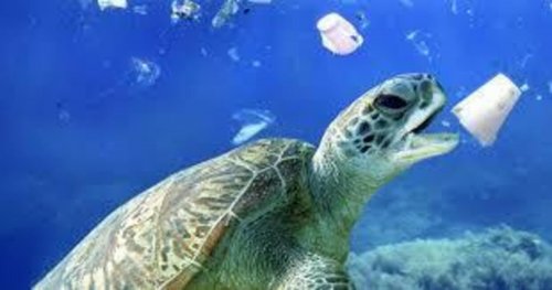 «Большая двадцатка» обсудит в Японии экологические угрозы пластика и пластмасс
