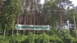 Жители Екатеринбурга просят президента защитить парк на Краснолесье