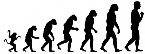 «Новая теория эволюции» или почему Дарвин мог ошибаться?