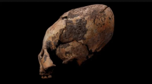 Археологи нашли в Китае останки древних людей с преднамеренно деформированными черепами