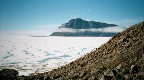 Учёные вернули к жизни мох, замороженный 1,5 тысячи лет назад в арктическом льду