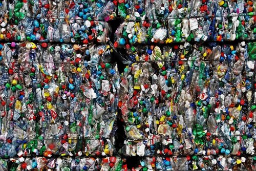 Экологическая катастрофа: Россия опоздала на 40 лет с утилизацией мусора