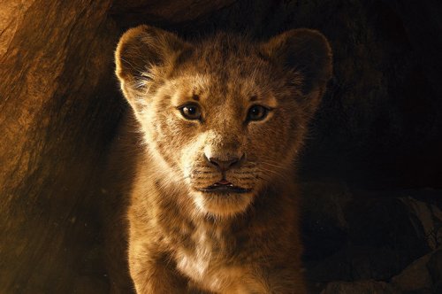 «Король лев»: долгожданный мультфильм поразил своей визуальной магией