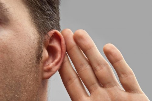 Ученые: Избыточный вес может навредить слуху