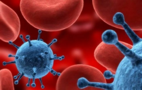 ВИЧ невозможно полностью уничтожить лекарствами: Учёные пояснили причину