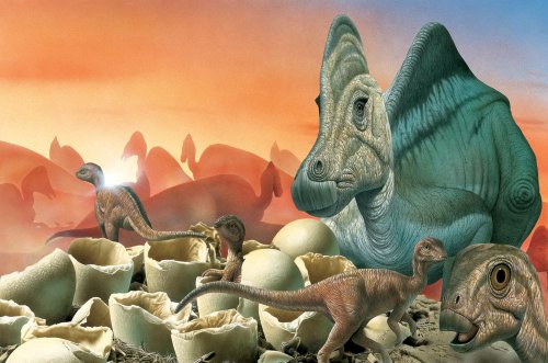 Динозавры делали коллективные кладки яиц и охраняли их – Палеонтологи