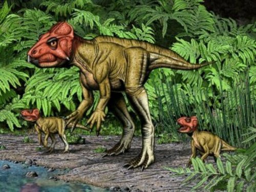 Предки массивных рогатых динозавров передвигались по Китаю на двух лапах