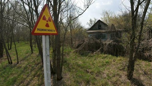 «Чернобыль бьёт по мозгам ВСУ?»: Украина собирается отбивать там очередную «агрессию» России