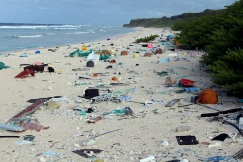 Пластик захватил коралловый остров Хендерсон: Его территория ранее считалась чистейшей