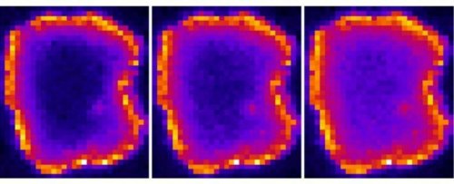 Учёные впервые получили изображение частицы, являющейся собственной античастицей