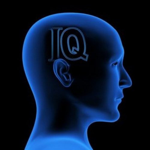Эксперты: Снижение потенции зависит от уровня IQ