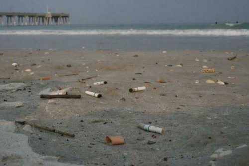 Сигаретные окурки влияют на Мировой океан разрушительнее пластика