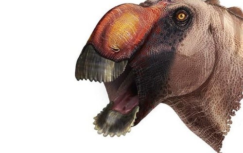 Палеонтологи наконец-то узнали, какому динозавру принадлежат окаменелости, найденные в Техасе