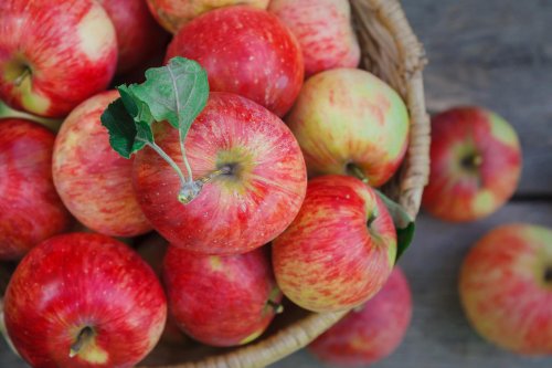 Учёные доказали, что одно яблоко в день защитит от рака и инфарктов