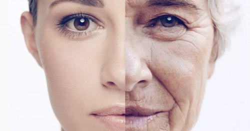 Ученые рассказали, какой ген нужно извлечь из человека, чтобы замедлить его старение